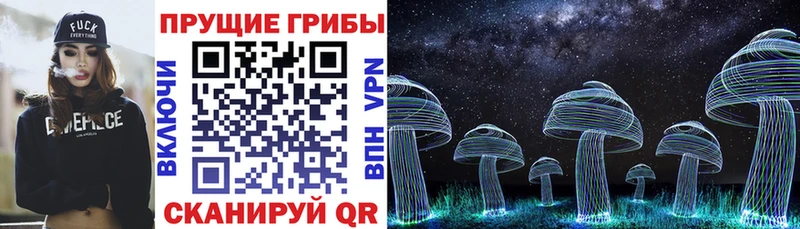 Галлюциногенные грибы прущие грибы  Долгопрудный 